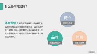 數據行業 互聯網數據中心的變革與未來——以199it為例